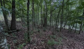 TBD Paint Fork Rd, Barnardsville, NC 28709