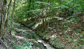 2926 Bryant Ridge Rd, Baxter, TN 38544