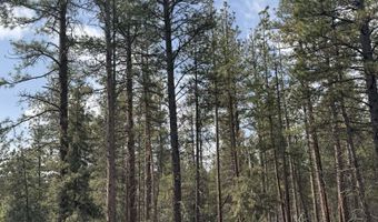 Bufflehead Drive TL 10, Bonanza, OR 97623