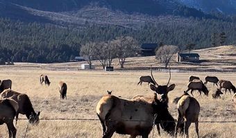3 County Road N2261, Alpine, AZ 85920