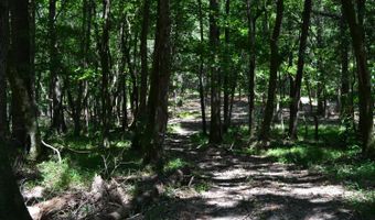 0 County Rd 22, Auburn, AL 36830
