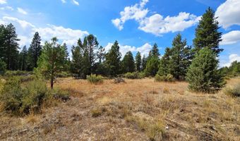 Swan Drive 16 & 17, Bonanza, OR 97623