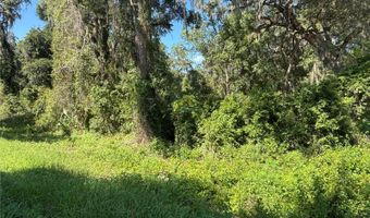 14155 NE 47TH Ave, Anthony, FL 32617