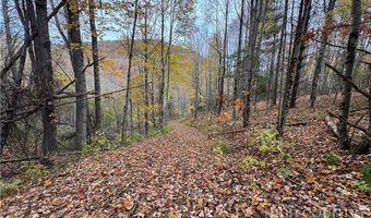 Rominger Road, Banner Elk, NC 28604
