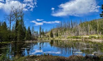 54432 MCKENZIE Hwy 40, Blue River, OR 97413