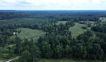 tbd 54.89 Acres N Hwy 53, Arkadelphia, AR 71923