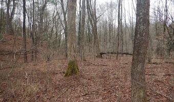 County Route 16, Angelica, NY 14709