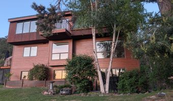 255 Little Pinon, Basalt, CO 81621