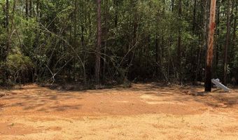 88 Bear Rd, Carriere, MS 39426