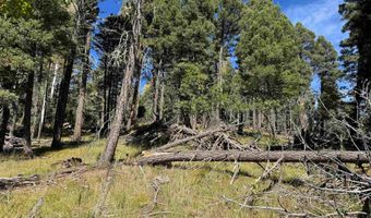 Calle de los Indios lot 101, Angel Fire, NM 87710