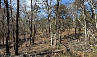 TR 3A FM 752, Alto, TX 75925