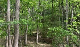 Tbd Brookstone Rd, Bastian, VA 24314