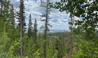 847 COUNTY ROAD 787, Alma, CO 80420