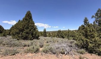 40 Ouray Cir, Alton, UT 84710