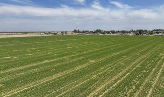 Road 38, Alpaugh, CA 93201