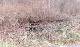 3675 Anawalt Ridge Rd, Anawalt, WV 24808