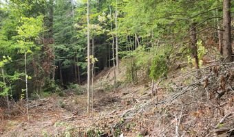 00 Monroe Rd, Bath, NH 03740