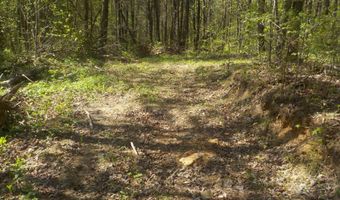 Steve Brown Road, Bean Station, TN 37708
