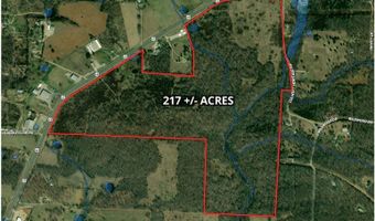 11111 Hwy 62/412, Ash Flat, AR 72513