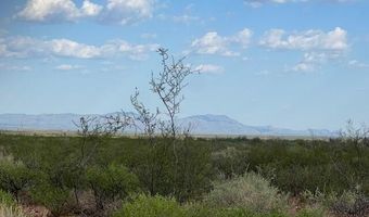 Ronald Reagan Parkway, Benson, AZ 85616