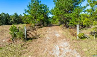 42 County Highway 79, Bear Creek, AL 35581