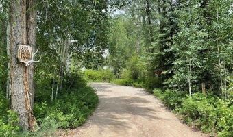 209 Deer Path Ln Lot 9, Almont, CO 81230
