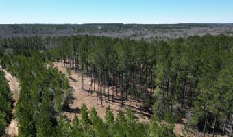 4 Robinsonville Rd, Atmore, AL 36502