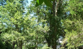 545 Ash Flat Dr, Ash Flat, AR 72542
