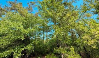 Broadview Avenue, Alford, FL 32420