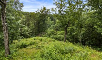 1556 Hollow Springs Rd, Baneberry, TN 37890
