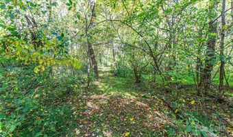 10 Dodd Rd, Barnardsville, NC 28709