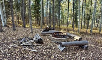 704 SUNSET Dr, Alpine, WY 83128