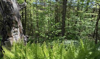 Bear Hill Road, Brookfield, VT 05036