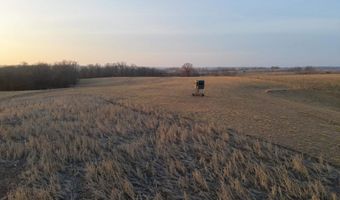 197 Th Trl, Albia, IA 52531