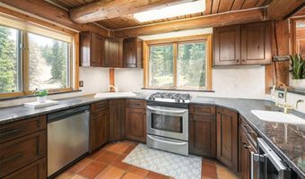 496 Hamilton Ln, Breckenridge, CO 80424