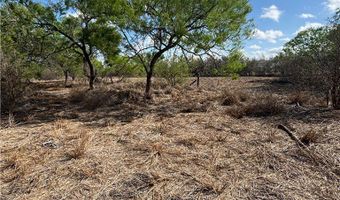 369 Edith Dr, Alice, TX 78332