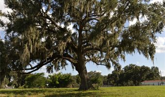 3510 GANDY Rd, Bartow, FL 33830