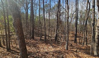 245 Windermere Pkwy W, Alexander City, AL 35010