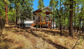 26 County Road 2067, Alpine, AZ 85920