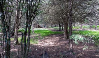 ALUM SPRINGS ROAD, Basye, VA 22810