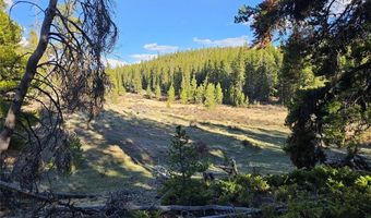 PCS # 7765 & 12057 Rollies Trail lot 0, Alma, CO 80420