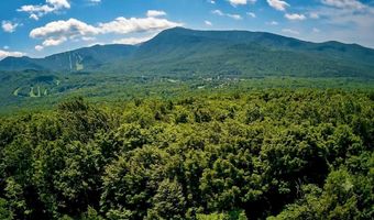 Sweeney Lane lot 49/50, Cambridge, VT 05464