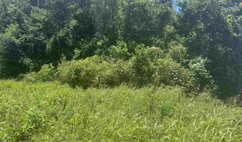 HIGHWAY 431 lot 0, Alexandria, AL 36250