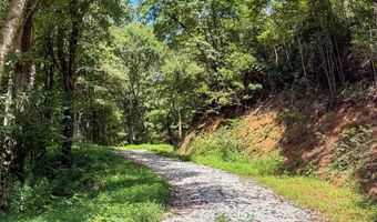 6 Black Rock Trl 6, Andrews, NC 28901