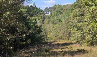 3013-3015 Possum Trot Rd, Ash Flat, AR 72513