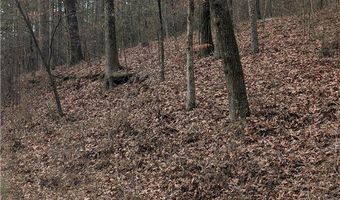 Evans Mountain Road lot 0, Atkins, AR 72823