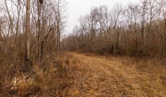 County Road 19-A, Alton, MO 65606