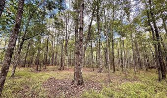 Eugene Ward Road, Adrian, GA 31002