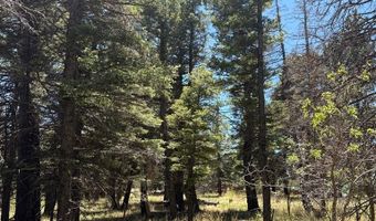Spanish Peaks Dr, Aguilar, CO 81020