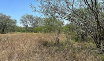 195 CR 1461 Lot 8, Alice, TX 78332